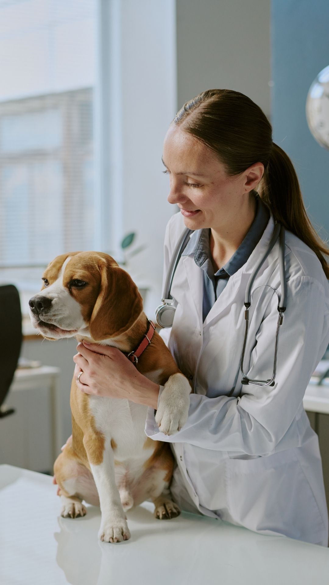 Veterinary clinic
